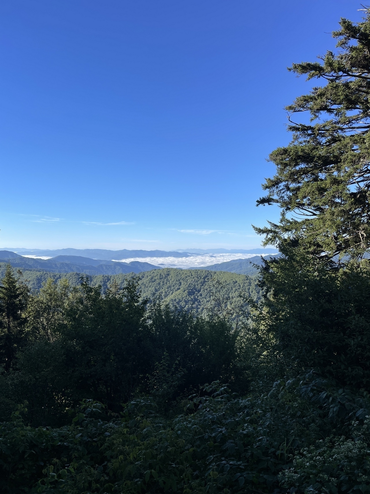 The Smoky Mountains