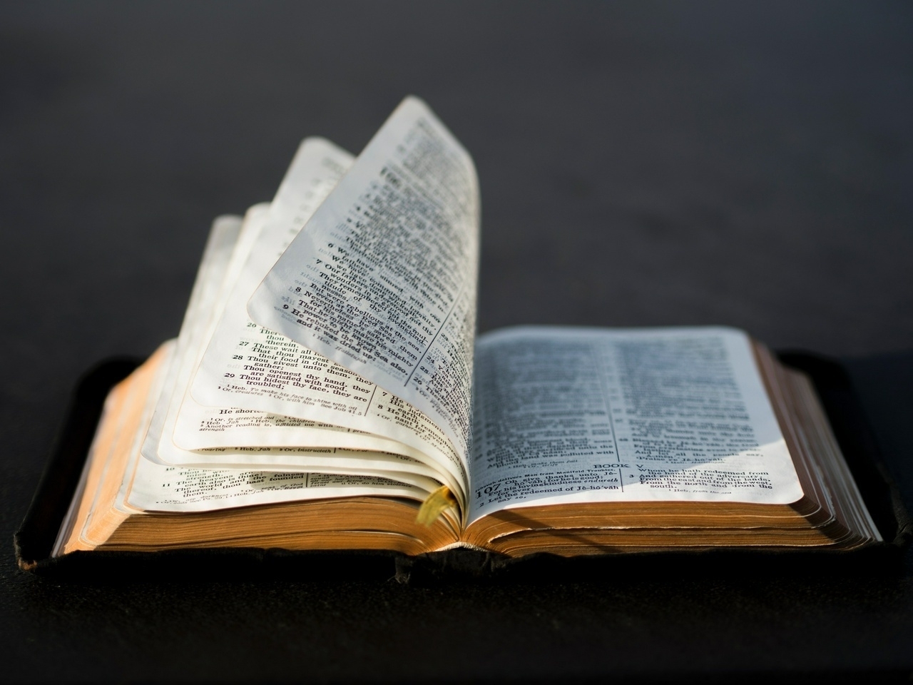 Photo of a Bible by Aaron Burden on Unsplash